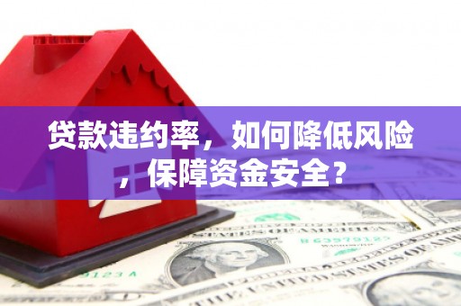 青海贷款违约率，如何降低风险，保障资金安全？