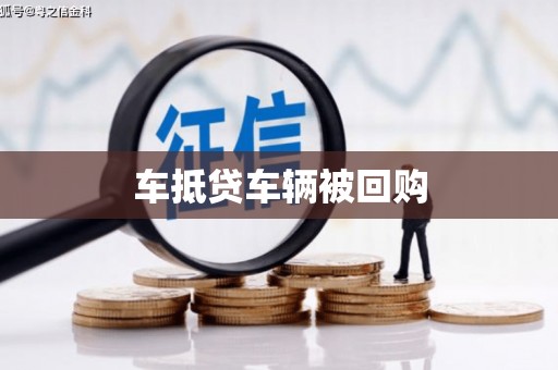 大姚车抵贷车辆被回购