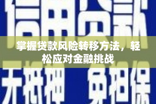 云梦掌握贷款风险转移方法，轻松应对金融挑战