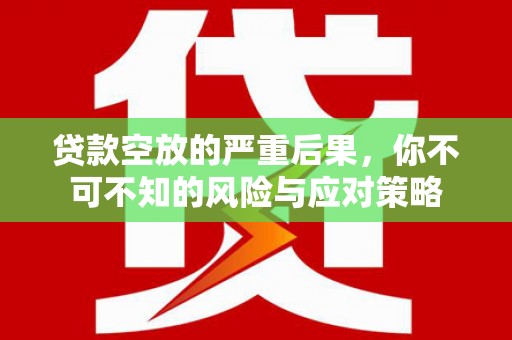 治多贷款空放的严重后果，你不可不知的风险与应对策略